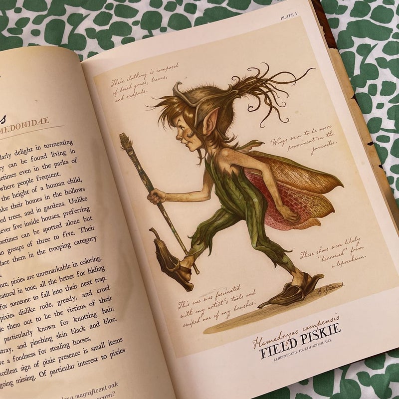 Arthur Spiderwick's Field Guide to the Fantastical World Around You