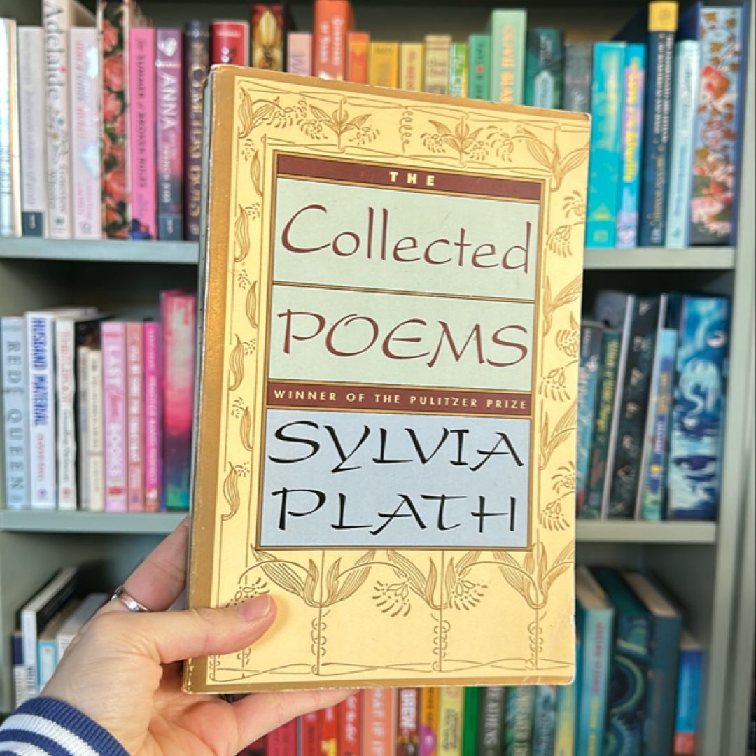 Sale image for b932e7ea-e5fd-4f7f-bf4e-6e9f752a5072-JkgyEGhKutV0PFgSD6QBMY8viz12