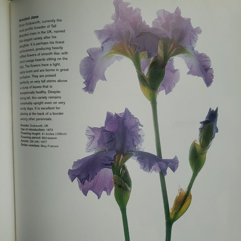 Iris 1st Edition 