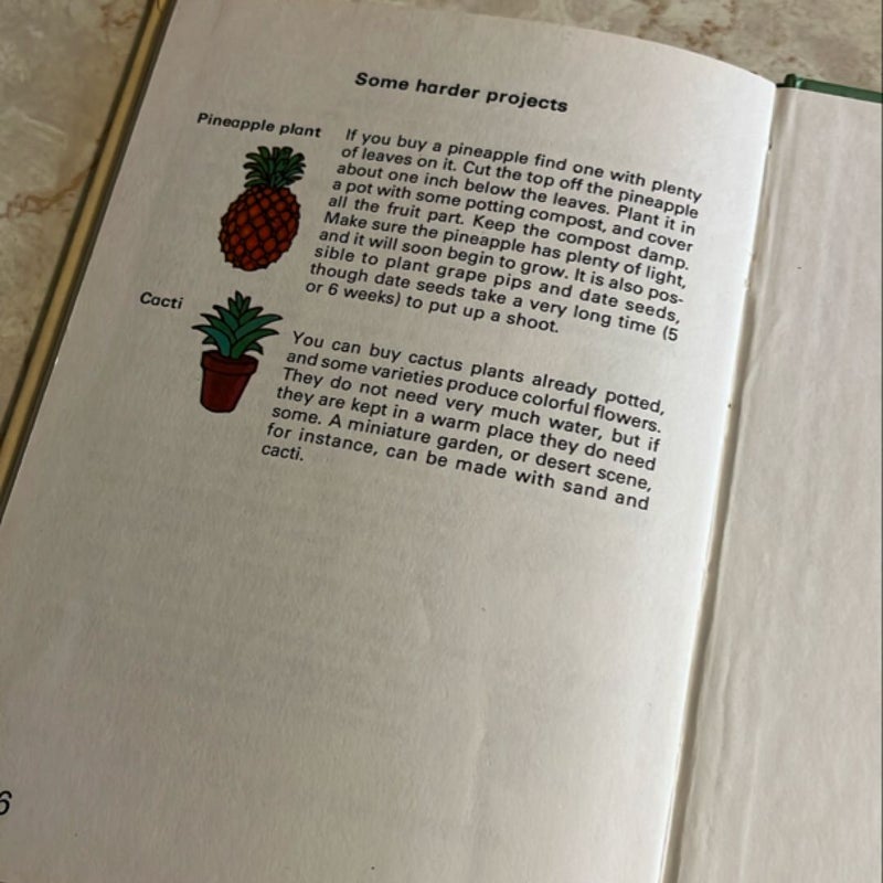 Growing Things Indoors