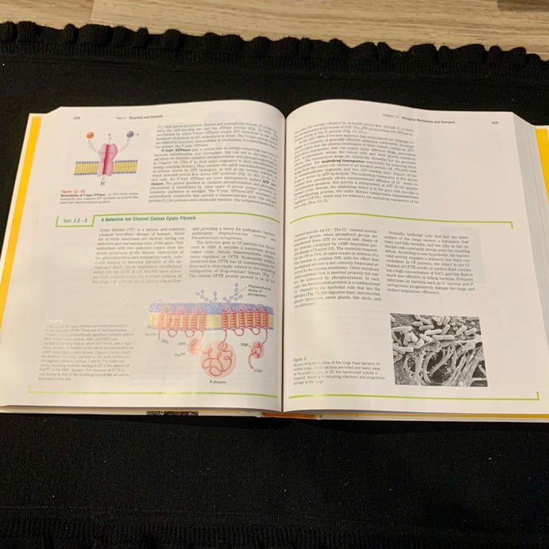 Lehninger Principles of Biochemistry (Third Edition)
