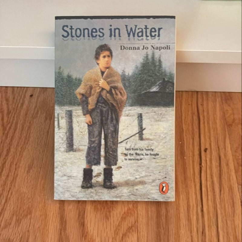 Stones in Water