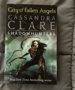 City of Fallen Angels