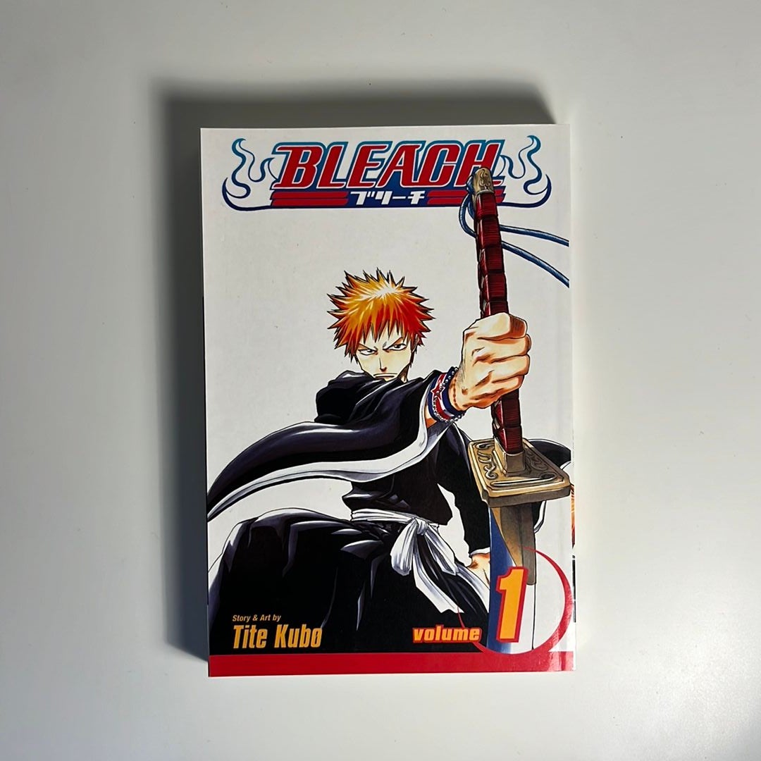 Bleach, Vol. 1