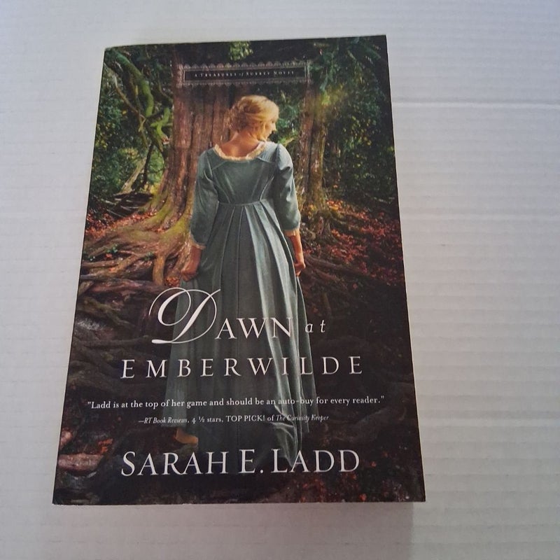 Dawn at Emberwilde