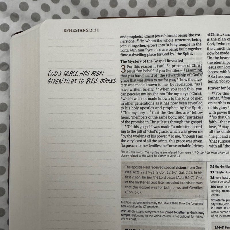 ESV Journaling Study Bible (TruTone, Brown/Chestnut, Timeless Design)