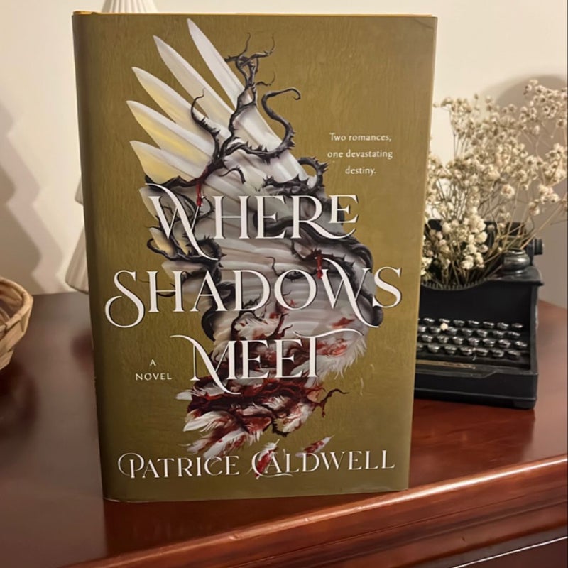 Where Shadows Meet