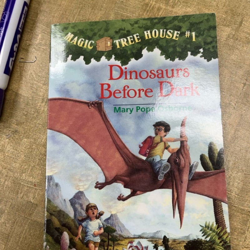 Magic tree house