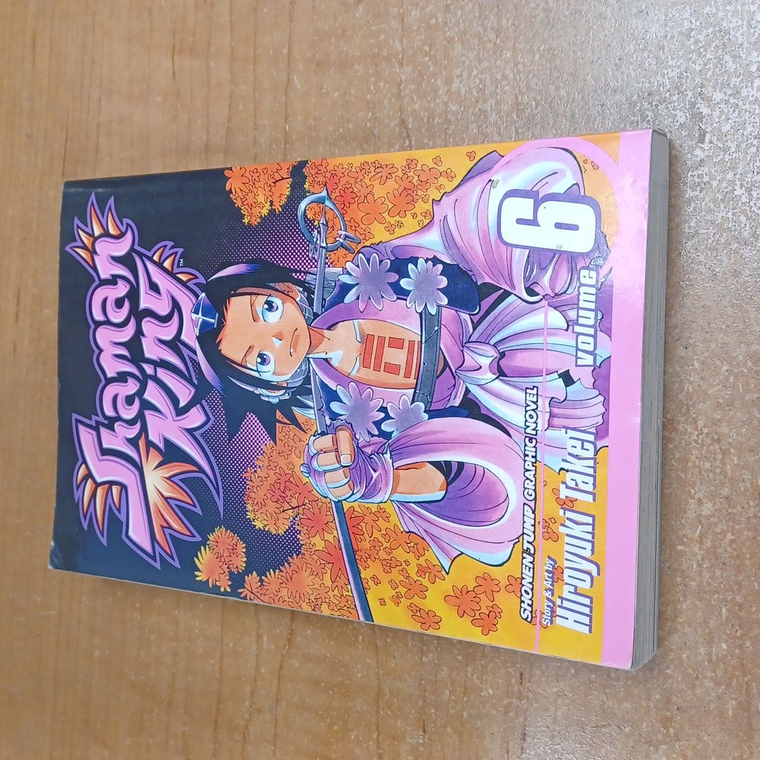 Shaman King, Vol. 6