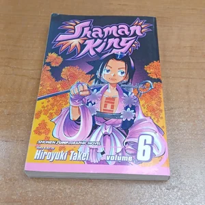 Shaman King, Vol. 6