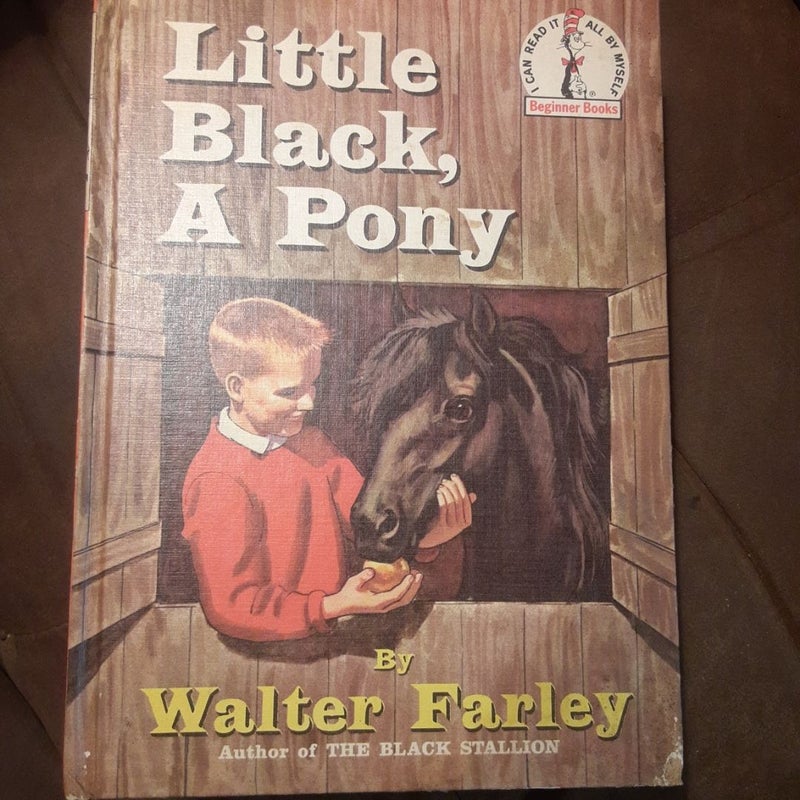 Little Black, A Pony