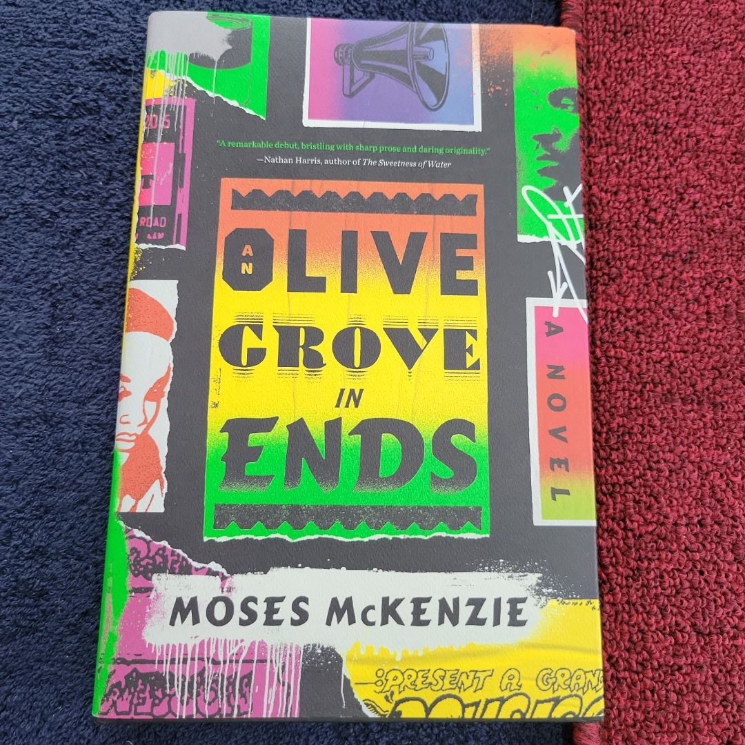 An Olive Grove in Ends