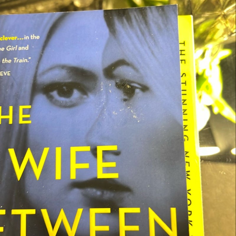 The Wife Between Us