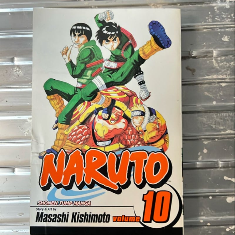 Naruto, Vol. 10