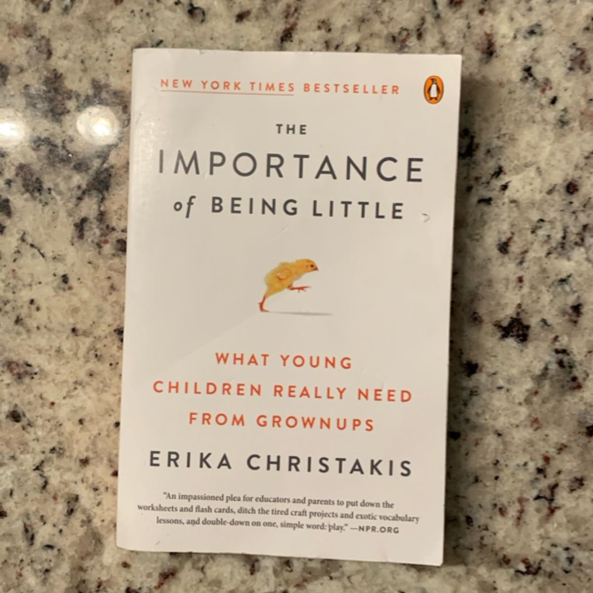 The Importance of Being Little by Erika Christakis