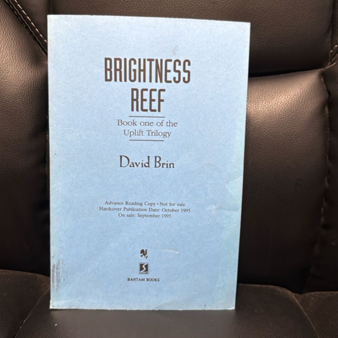 Brightness Reef *ARC*