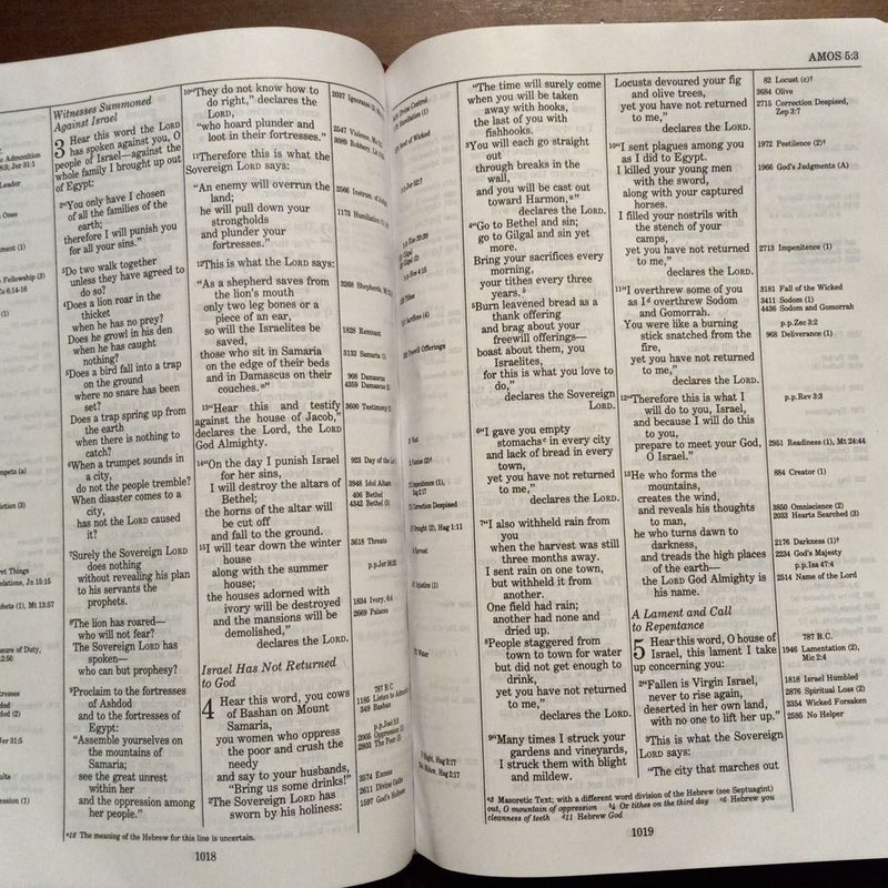 NIV Thompson Chain-Reference Bible, Handy Size, Red Letter, Comfort Print [Burgundy]
