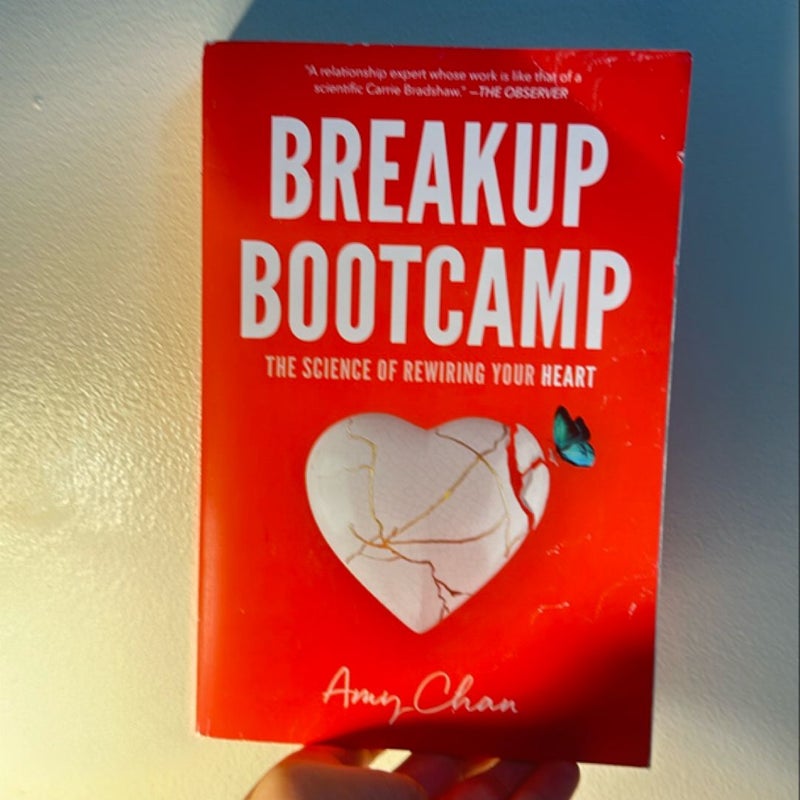 Breakup Bootcamp