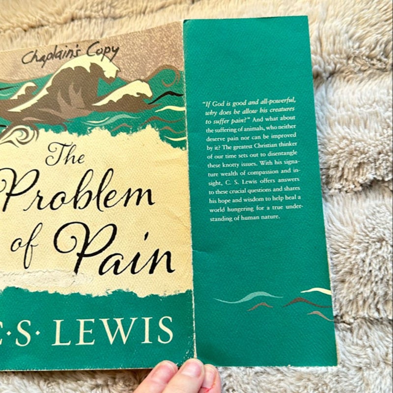 The Problem of Pain