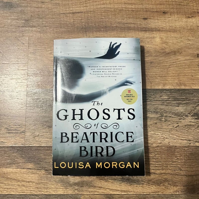 The Ghosts of Beatrice Bird by Louisa Morgan Paperback Pangobooks