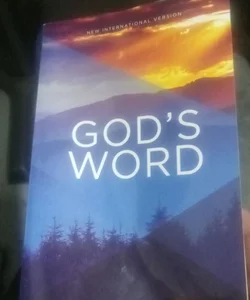 NIV Gods Word Outreach Bible