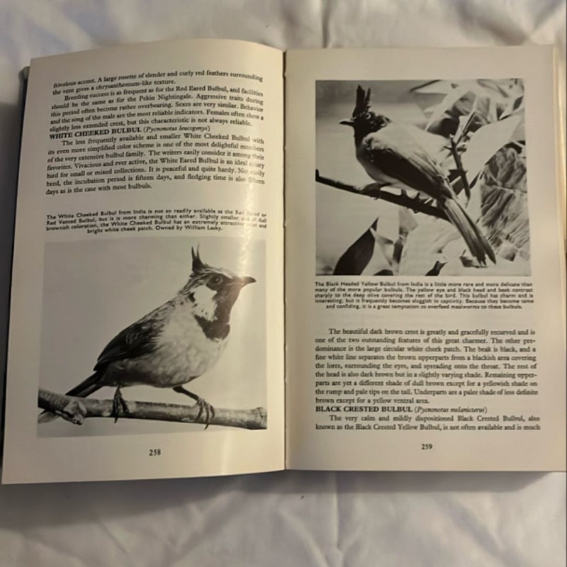 Finches and Soft-Billed Birds