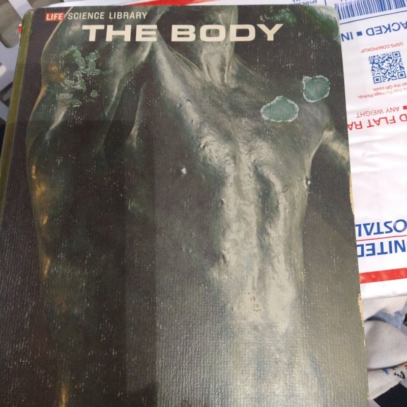 The body 