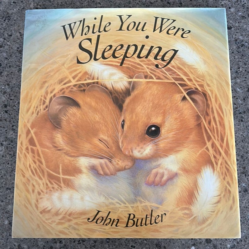 While You Were Sleeping