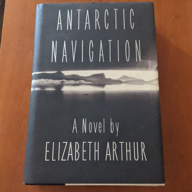 Antarctic Navigation 