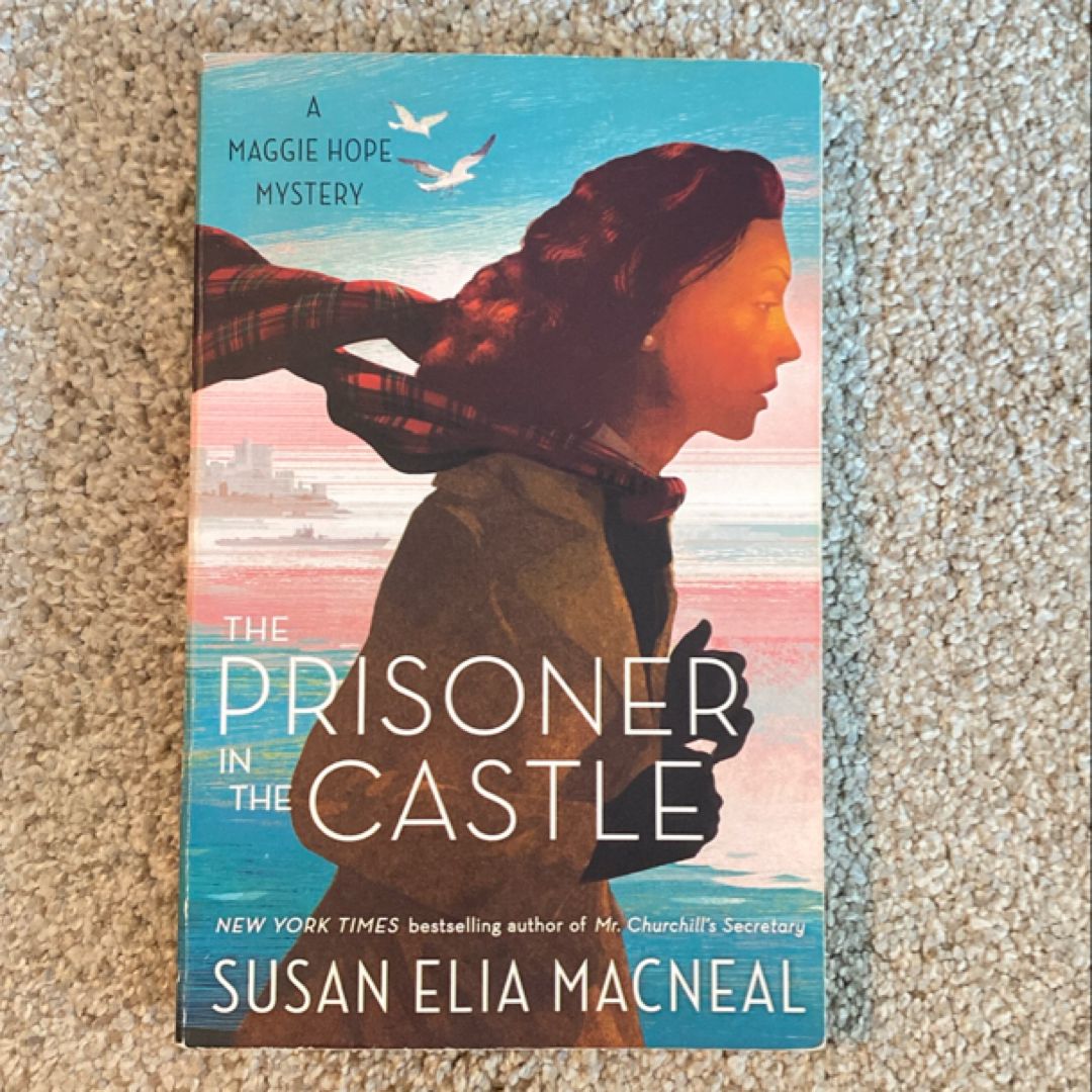 The Prisoner in the Castle