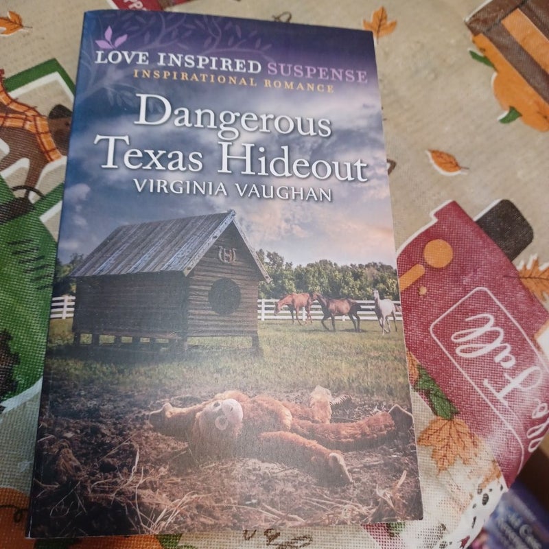 Dangerous Texas Hideout