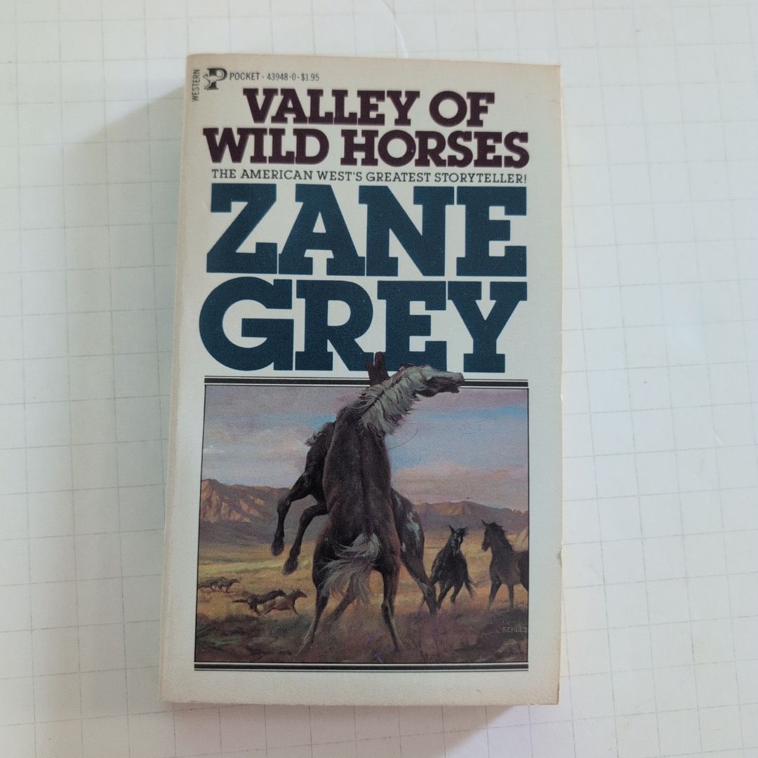 Valley of Wild Horses