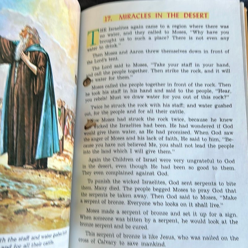 Catholic picture Bible 