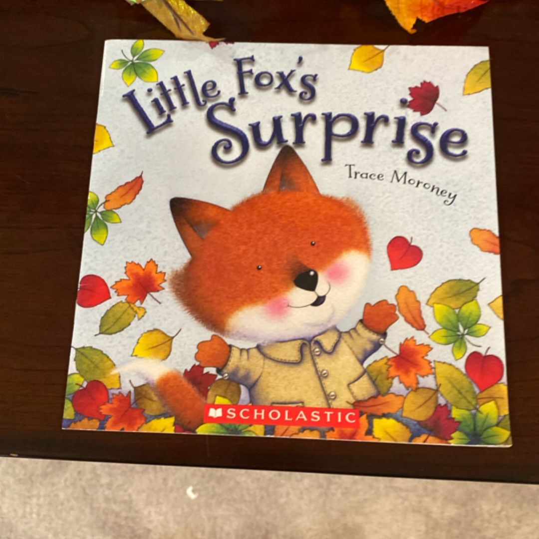Little Fox's Surprise