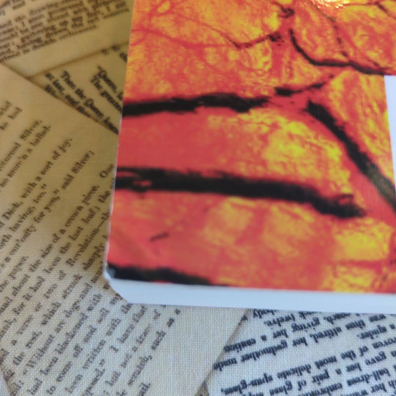 Dust (First Edition Signed & Dated)