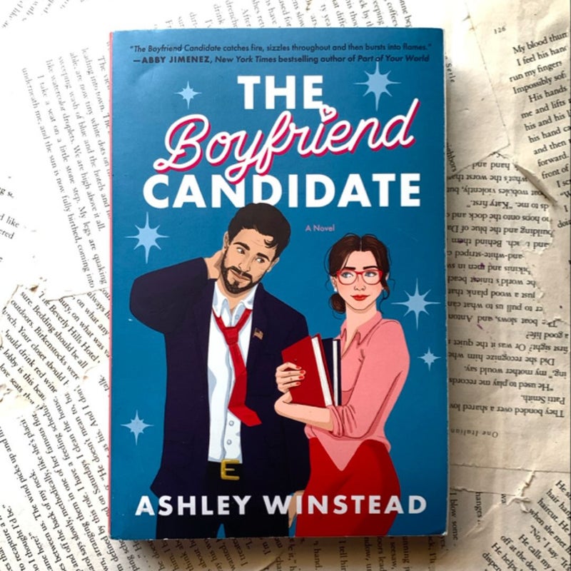 The Boyfriend Candidate