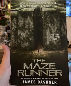 The Maze Runner