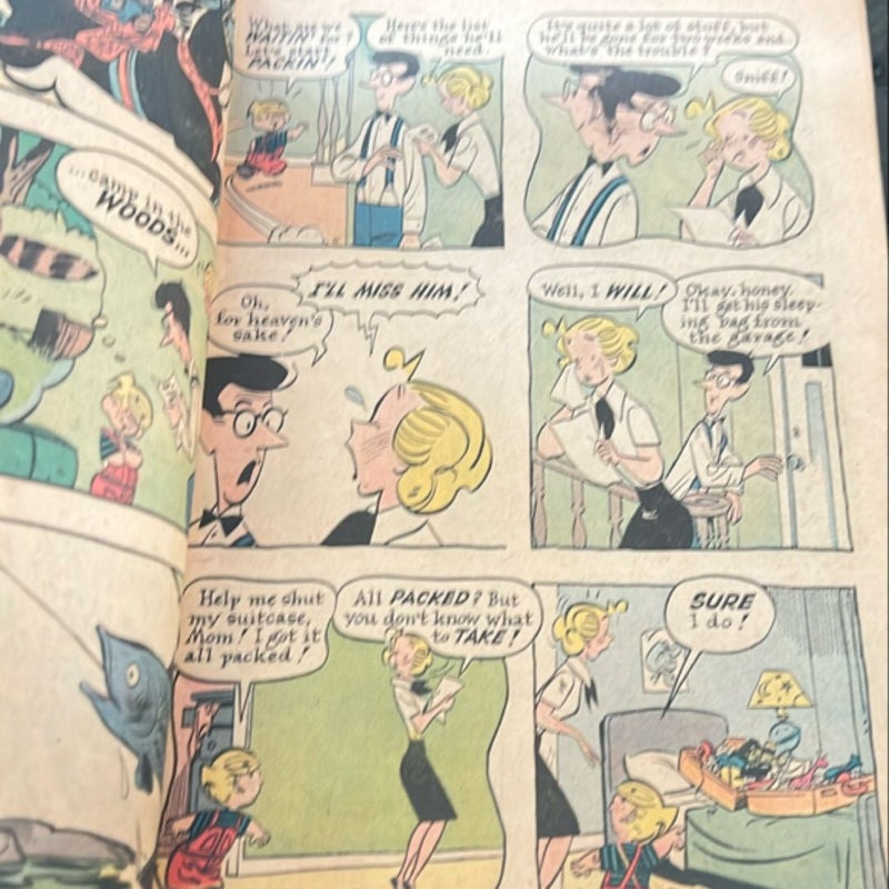 Dennis the Menace Comic 