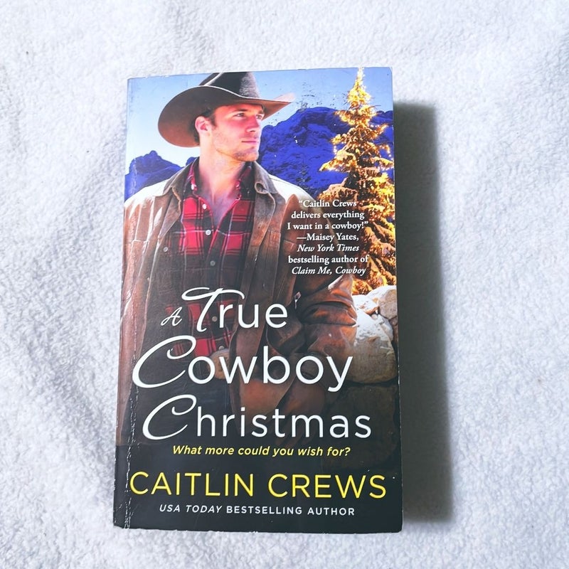 A True Cowboy Christmas