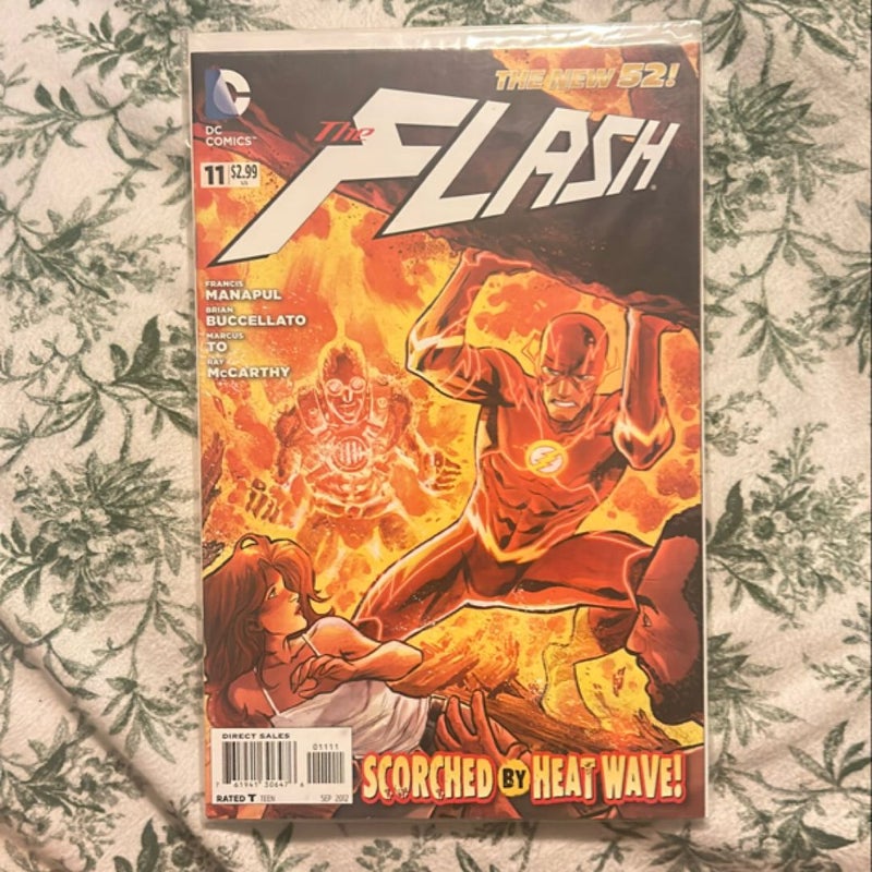 The Flash #11