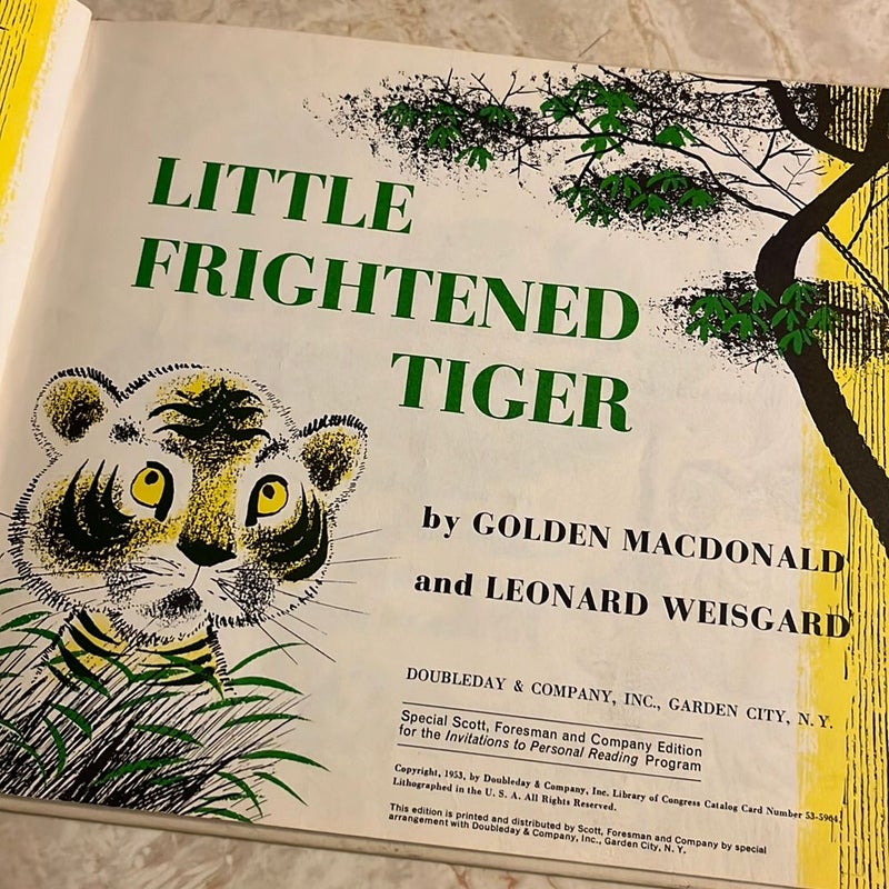 Little Frightened Tiger 