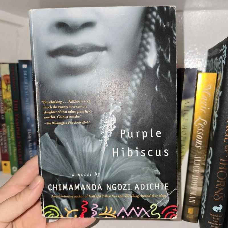 Purple Hibiscus