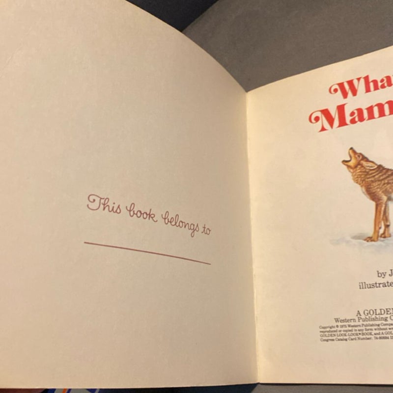 What Is a Mammal?