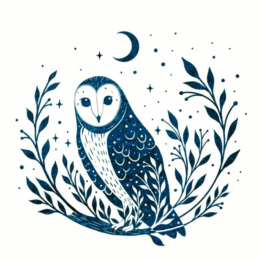 Night Owl Books