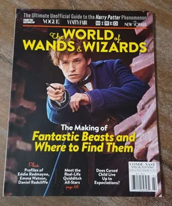 The World of Wands and Wizards: The Unofficial Guide to the Harry Potter Phenomenon