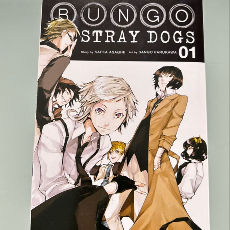 Bungo Stray Dogs, Vol. 1