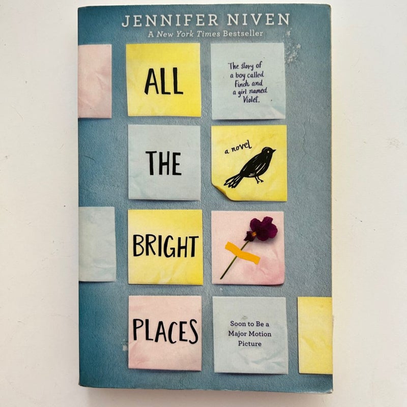 All the Bright Places (final price) 