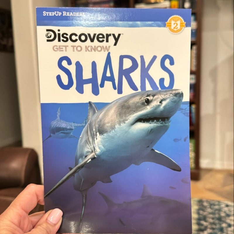 Discovery Get to Know Sharks