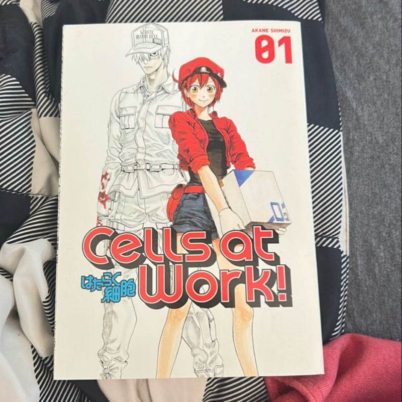 Cells at Work! 1