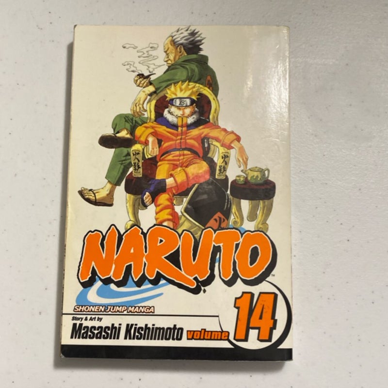 Naruto, Vol. 14
